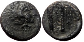 Kings of Macedon, Alexander III 'the Great', AE, (Bronze, 1.31 g 12 mm), 336-323 BC. Macedonian mint.
