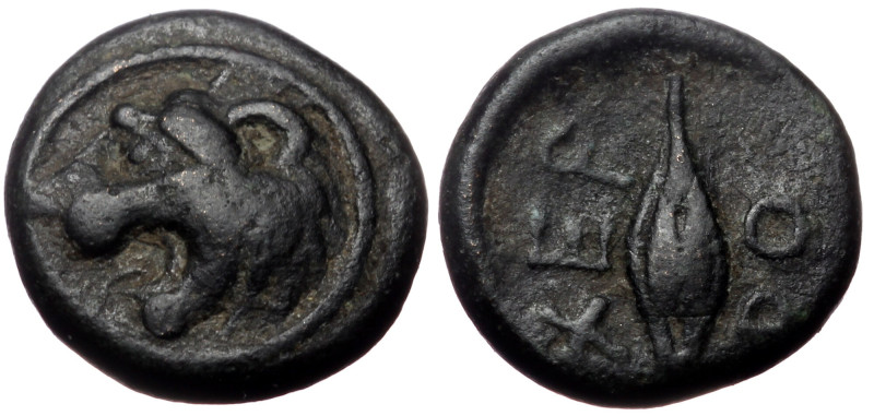 Thrace, Chersonesos, AE, (Bronze, 1.52 g 11 mm), Circa 386-309 BC. Thrace, Chers...