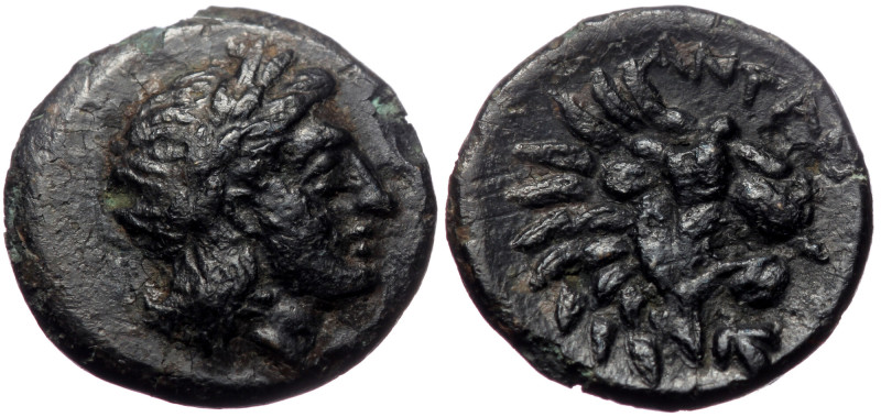 Troas, Antandros, AE, (Bronze, 1.52 g 12 mm), 4th-3rd centuries BC. Troas, Antan...