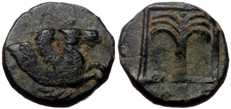 Troas, Skepsis, AE,(Bronze, 0.72 g 9 mm), 4th-3rd centuries BC. Troas, Skepsis, ...