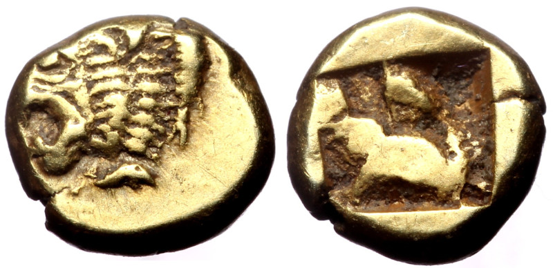 Ionia, Phokaia, EL Myshemihekte - 1/24 Stater, (Elektron, 0.65 g 6 mm), Circa 62...