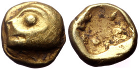 Ionia, Phokaia, EL 1/24 Stater, (Elektron, 0.64 g 6 mm), Circa 625/0-522 BC.
