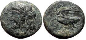 Ionia, Leukai, AE, (Bronze,3.25 g 16 mm),Circa 350-300 BC.