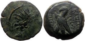 Seleukid Kindgdom, Antiochos VIII Epiphanes (121/0-97/6 BC) AE (Bronze, 7.15g, 19mm). Antioch on the Orontes