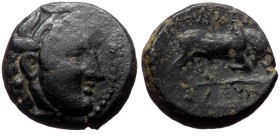 Seleukid Kingdom, Seleukos I Nikator, AE, (Bronze, 6.14 g 17 mm), 312-281 BC. Antioch on the Orontes.