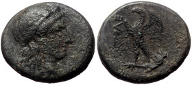 Ptolemaic Kings of Egypt. Ptolemy I Soter, AE, (Bronze, 3.71 g 16 mm), 305-282 BC. Paphos.