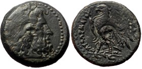 Ptolemaic Kings of Egypt, Ptolemy II Philadelphos, AE, Hemiobol, (Bronze,4.88 g 18 mm) 285-246 BC., Alexandreia mint.