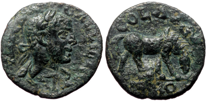 Troas, Alexandria. Gallienus. AE. (Bronze, 4.58 g. 20 mm.) 253-268 AD. Troas, Al...