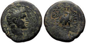 Lydia. Tripolis. Augustus. AE. (Bronze, 5.79g, 20mm) 27 BC-14 AD. Apollonios Androneikou, magistrate.