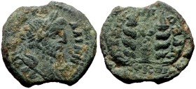 Mysia, Kyzikos, Gallienus (253-268) ΑΠΟΛΛΩΝΙΔΗΣ (Apollonides), Strategos AE (Bronze 9,16g, )