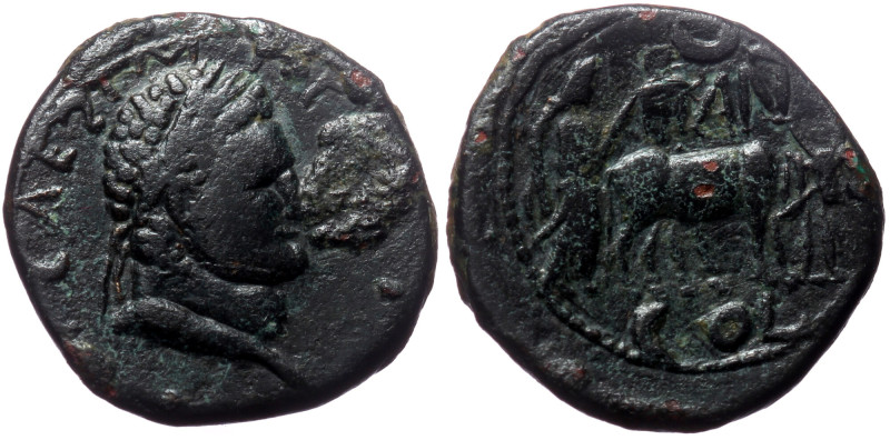 Pisidia, Antioch AE (Bronze,5.45g, 19mm) Vespasian (69-79) for Titus (Caesar) Pi...