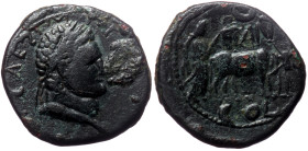 Pisidia, Antioch AE (Bronze,5.45g, 19mm) Vespasian (69-79) for Titus (Caesar)
