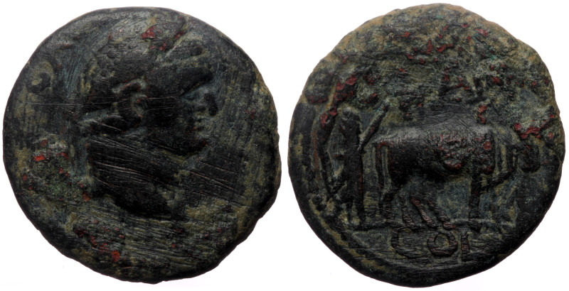 Pisidia, Antioch. Titus as Caesar. AE. (Bronze, 6.28 g. 21 mm.) 69-79 AD. Pisidi...