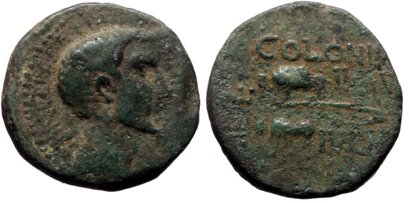 Cilicia, Uncertain, Augustus (27 BC-AD 14) AE (Bronze, 7,85g, 20mm) Ve[...] and ...