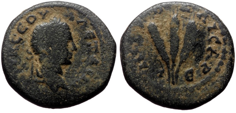 Cappadocia, Caesarea. Severus Alexander. AE. (Bronze, 6.75 g. 20 mm.) 222-235 AD...
