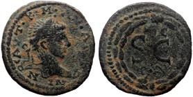 Seleucis and Pieria, Antioch. AE (Bronze, 21mm, 4.10g) Elagabalus (218-222),