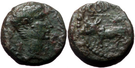 Phoenicia, Berytus AE (Bronze, 20,8 mm, 10,46 g) Augustus (27 BC-AD 14) Magistrate: Sulanus (legatus) AD 12/14