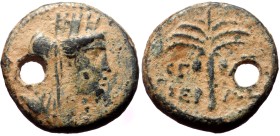 Phoenicia, Tyre. Pseudo-autonomous. AE. (Bronze, 3.31 g. 16 mm.) ca. 77/82 AD.