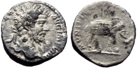 Septimius Severus (193-211) AR Denarius (Silver, 17mm, 3.39g) Rome, 196. Rare!