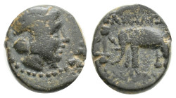 Greek, Seleukid Kings of Syria. Antiochos III 'the Great' Æ, 1,4 g, 11,5 mm, Sardes 222-187 BC. Laureate head of Apollo right / Elephant standing left...