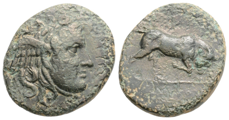 SELEUKID KINGDOM. Seleukos I Nikator (312-281 BC). Ae. Antioch. 5,3 g. 20,6 mm....