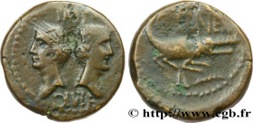 AUGUSTUS and AGRIPPA
Type : Dupondius 
Date : c. 20-14 AC. 
Mint name / Town : Nîmes, Gaule 
Metal : copper 
Diameter : 25  mm
Orientation dies : 11  ...