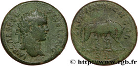 GETA
Type : Grand Bronze 
Date : 198-209 
Mint name / Town : Antioche, Pisidie 
Metal : copper 
Diameter : 32  mm
Orientation dies : 5  h.
Weight : 25...