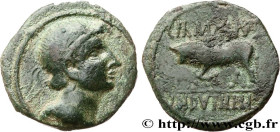 GALLIA BELGICA - REMI (Area of Reims)
Type : Bronze GERMANVS INDVTILLI au taureau (Semis) 
Date : c. 10 AC. 
Mint name / Town : Reims (51) 
Metal : br...