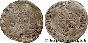 FRANCIS I
Type : Douzain aux salamandres, 1er type 
Date : 24/02/1540 
Date : n.d. 
Mint name / Town : Troyes 
Quantity minted : 123840 
Metal : billo...