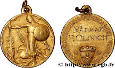 INSURANCES
Type : Médaille, Compagnie d’assurance, Försäkringsaktiebolaget 
Date : 1889 
Mint name / Town : Suède 
Metal : gold 
Diameter : 21  mm
Wei...