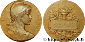 III REPUBLIC
Type : Médaille, Sénat 
Date : 1924 
Metal : gold plated silver 
Millesimal fineness : 950  ‰
Diameter : 49,5  mm
Engraver : PILLET Charl...