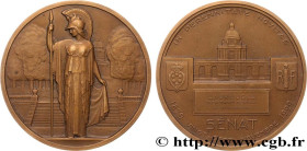 III REPUBLIC
Type : Médaille, Sénat, Secrétaire général de la questure 
Date : 1929 
Metal : bronze 
Diameter : 80  mm
Engraver : BÉNARD Raoul René Al...