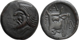 CIMMERIAN BOSPOROS. Pantikapaion. Ae (Circa 325-310 BC)