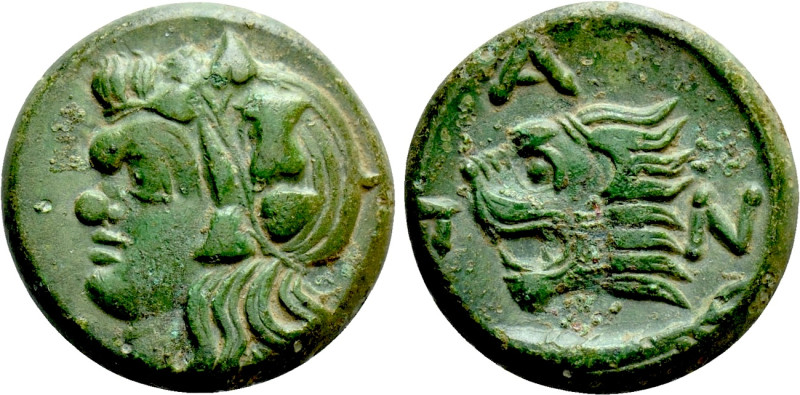 CIMMERIAN BOSPOROS. Pantikapaion. Ae (Circa 310-304/3 BC). 

Obv: Head of saty...