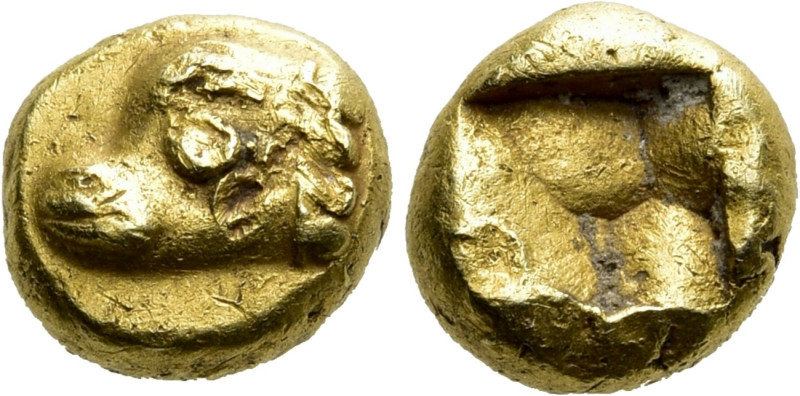 IONIA. Phokaia. EL 1/24 Stater (Circa 625/0-522 BC). 

Obv: Head of seal left....