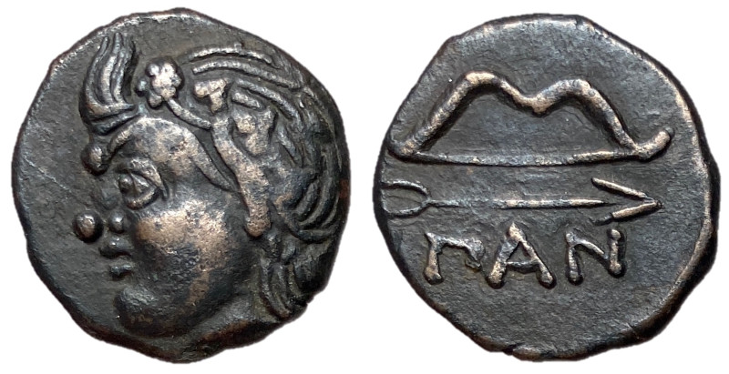 Cimmerian Bosporos, Pantikapaion, 304 - 250 BC
AE19, 4.55 grams
Obverse: Head ...