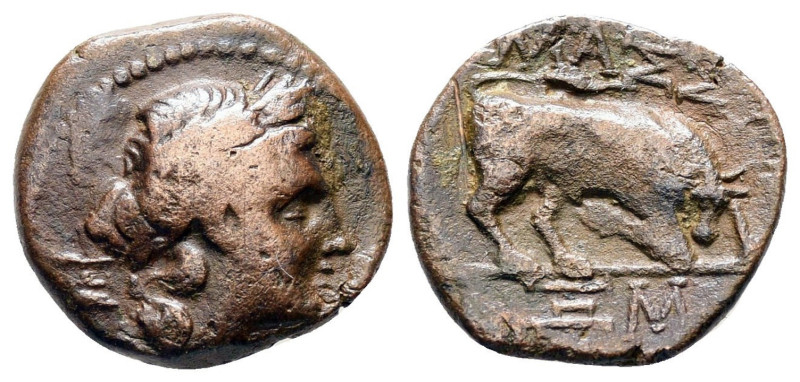 Gaul, Massalia, 100 - 70 BC
AE14, 1.81 grams
Obverse: Laureate head of Apollo ...
