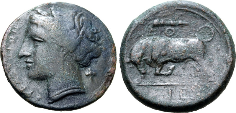 Sicily, Syracuse, Time of Hieron II, 275 - 315 BC
AE21, 5.95 grams
Obverse: Wr...