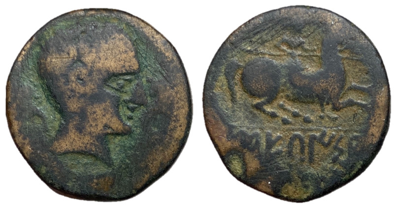 Iberia, Sekaisa, 100 - 50 BC
AE Unit, 24mm, 9.25 grams
Obverse: Bare male head...