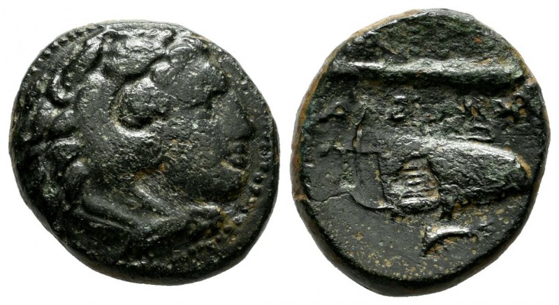 Kings of Macedon. Alexander III "the Great". 336-323 BC. AE (17mm, 5.47g). Uncer...