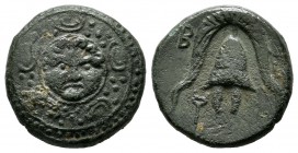 Kings of Macedon. Philip III Arrhidaios, 323-317 BC. AE (16mm, 3.75g), Salamis mint. Macedonian shield with facing gorgoneion on boss. / B A Macedonia...