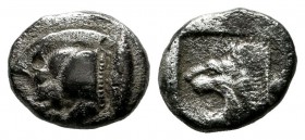 Mysia, Kyzikos. Circa 480 BC. AR Diobol (8mm, 1.10g). Forepart of boar left with tall mane and dotted truncation, to right, tunny upward / Head of roa...