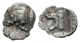 Mysia, Kyzikos. Circa 480 BC. AR Hemiobol (8mm, 0.23g). Forepart of boar left with tall mane and dotted truncation, to right, tunny upward / Head of r...