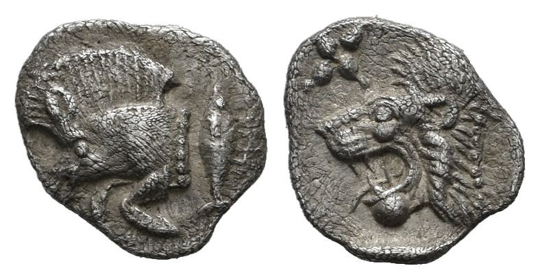 Mysia, Kyzikos. Circa 480 BC. AR Hemiobol (8mm, 0.39g). Forepart of boar left wi...