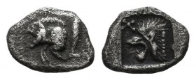 Mysia, Kyzikos. Circa 480-450 BC. AR Tetartemorion (5mm, 0.18g). Forepart of boar left; tunny to right / Head of roaring lion left; star to upper left...