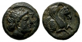 Mysia, Lampsakos. 4th-3rd centuries BC. AE (11mm, 1.40g). ΛΑΜ, Laureate female head right. / [ΨΑ]. Forepart of Pegasos right; below, mouse left. SNG F...
