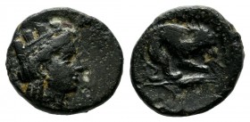 Mysia, Plakia. Circa 400 BC. AE (10mm, 1.35g). Turreted head of Kybele right. / ΠΛΑΚΙΑ. Lion standing right, devouring prey; below, grain ear right. S...