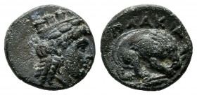 Mysia, Plakia. Circa 400 BC. AE (11mm, 1.53g). Turreted head of Kybele right. / ΠΛΑΚΙΑ. Lion standing right, devouring prey; below, grain ear right. S...