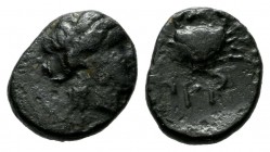 Mysia, Priapos. Circa 300-200 BC. AE (10mm, 0.91g). Laureate head of Apollo right within linear circle / ΠPI below and A above crab; below, harpa righ...