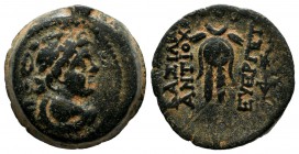 Seleukid Kingdom. Antiochos VII Euergetes. 138-129 BC. AE (18mm, 5.92g). Winged bust of Eros right / Isis headdress set upon crossed grain ears, below...